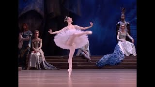 Elizaveta Kokoreva  Raymonda 2019 Variation Act 3 [upl. by Vandyke]