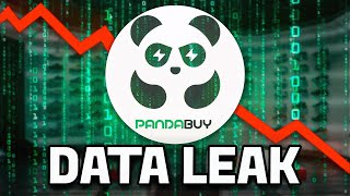 Pandabuy Had A CRAZY Dataleak The Truth Behind It [upl. by Rasec]