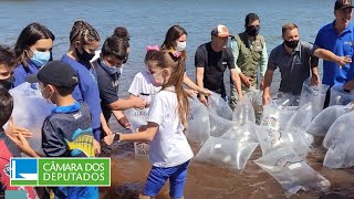 Aprovado repovoamento de peixes em rios e lagos e videoconferência para posse de deputadas 151222 [upl. by Lindsley189]