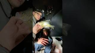 Ice fishing for Crappie Winter is coming icefishingnation crappiefishing [upl. by Liva]