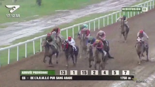 Live Hippodrome CasaAnfa  Meeting International du Maroc 2018  Pursang Arabe [upl. by Nnaeirual396]