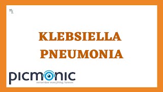 What is Klebsiella pneumoniae Symptoms of pneumonia and UTI caused by K pneumoniae [upl. by Anayt]