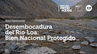 Ruta Patrimonial Desembocadura del Río Loa Bien Nacional Protegido SUB [upl. by Nuawad]