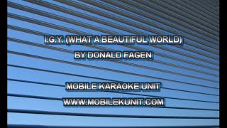 Donald Fagen  IGY What a Beautiful World Karaoke [upl. by Jablon]