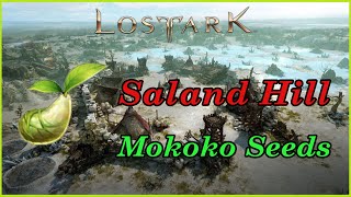 Lost Ark Saland Hill Mokoko Seeds locations [upl. by Hun372]