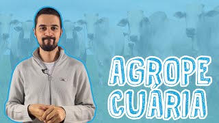 Aula Geografia  Agropecuária  Sistemas Agropecuários para o Enem e Vestibulares  STOODI [upl. by Barbi]