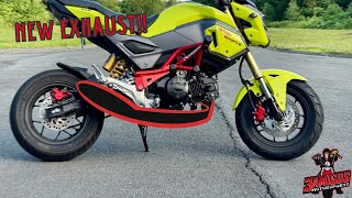 Honda Grom gets a new Vance and Hines Exhaust hondagrom [upl. by Yhtorod155]