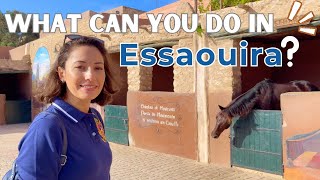 Fun day in Essaouira Morocco 4K [upl. by Enirok]