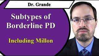 Subtypes of Borderline Personality Disorder Millon amp Others [upl. by Weywadt]