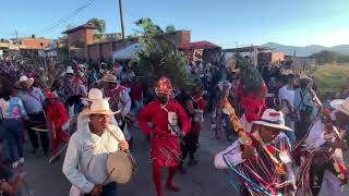 Sonajeros Los Pronunciados 🔥🔵🔴👌🏽 Tuxpan Jalisco 2022 [upl. by Ardehs]