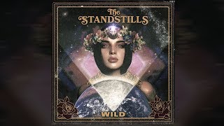 The Standstills  Wild Official Video [upl. by Aitnauq]