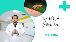 What is Malaria Symptoms causes and treatment A complete guide by tibbi [upl. by Guthrie216]