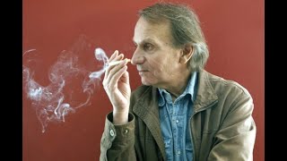 A vueltas con Aniquilación de Michel Houellebecq  Pura Virtud [upl. by Ailegra]