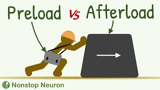 Preload vs Afterload [upl. by Elletsyrk]