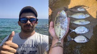 25072021 KIBRIS SOKAN SOKAR AVI SIGANUS RIVULATUS κουρκούνες FISHING IN CYPRUS [upl. by Ycal]