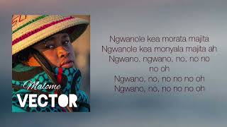 Malome Vector  Nobody Lyrics [upl. by Kempe552]