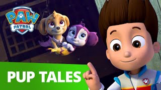 Skye and Zuma Become MerPups  PAW Patrol Rescue Episode  Cartoons for Kids [upl. by Eiramlehcar]