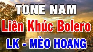 Karaoke Nhạc Sống Bolero Trữ Tình TONE NAM  Liên khúc Rumba Mèo Hoang  Trọng Hiếu [upl. by Amanda]