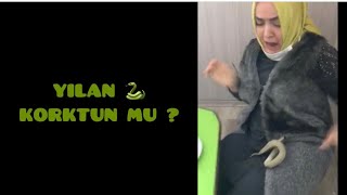 Yılan korktun mu  🐍 kamera şakası komik video lar [upl. by Winfield]