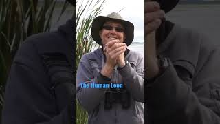 How to make a Loon call Funny nature birds shorts youtubeshorts loon loon [upl. by Tteve407]