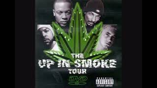 The UP IN SMOKE TOUR 2001 [upl. by Jannelle182]