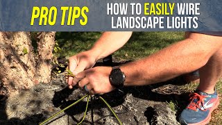 How to Easily Wire Landscape Lights [upl. by Dulcie]