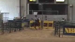 Barrel Horse For Sale  Proven 1D Hot DasherFireWater FlitBugs Alive [upl. by Einaffyt458]