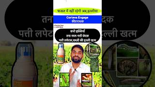 👌इल्ली व थ्रिप्स की सबसे नई कीटनाशक  illi ki dawa  Thrips control insecticide  Corteva Engage [upl. by Aissatsan]