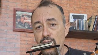 Moo Cow Blues  Harmonica and ukulele Gaita e ukulele [upl. by Orna]