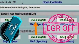 VCDS  EGR Delete [upl. by Welcher]