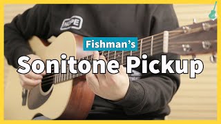 Fishman Sonitone Pizeo Pickup Sound Sample [upl. by Janus580]