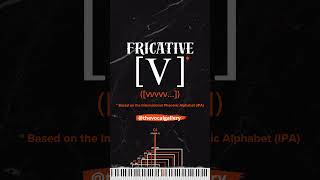 Fricative v with Minor Triads Arpeggio — Vocal Exercise for Contralto  The Vocal Gallery vocals [upl. by Fredra]