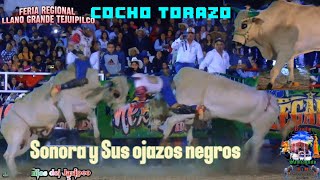 🐂NO HAY QUIEN LO PUEDA DOMINAR Al SONORA Y SUS OJAZOS NEGROS🐂 de rancho Santiaguito en llano grande [upl. by Ennahgem]