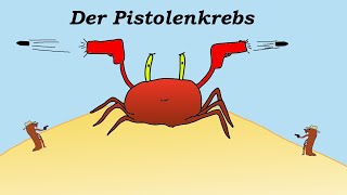 Der Pistolenkrebs  Das lauteste Tier der Welt [upl. by Breed]