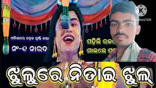 ଝୁଲୁରେ ନିତାଇ ଝୁଲ୍ [upl. by Onailime]