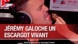 Jérémy galoche un escargot vivant  C’Cauet sur NRJ [upl. by Ahsiya]