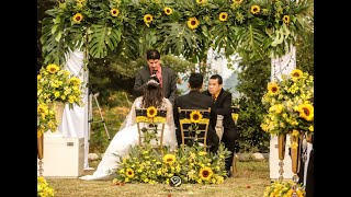 Bodas Colombia  Decoracion Girasol  Wedding planner  Grupo Davinchi Event Planner amp Design [upl. by Lewanna]