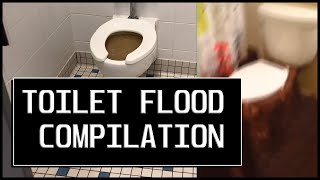 TOILET FLOOD COMPILATION [upl. by Conlan]