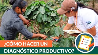 ¿Cómo hacer un diagnóstico productivo en fincas de café [upl. by Aillij]