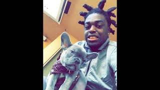 FREE Kodak Black Type Beat  quotNEVER ENOUGHquot [upl. by Arnoldo]