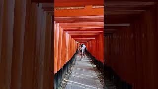 Fushimi Inari Shrine 1000 Torii Gates⛩️🇯🇵 伏見稲荷大社 千本鳥居 [upl. by Cammie]