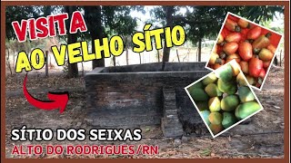 Uma breve visita ao sítio da família natureza fazenda sitio frutas antiguidades [upl. by Anma914]