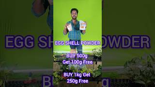 Eggshell Powder on Offer Sale eggshellpowder முட்டை ஓட்டுக்கு இவ்ளோ பவரா Oneday Offer [upl. by Llerrac]