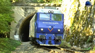 Trenuri în Defileul Crișului Repede 🚆🚂🚅 Trains in Crișul Repedes Canyon  18 July 2023 [upl. by Philipa]