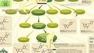 Phytochemicals types based on compounds natures  1 Medicinal Plants  viral [upl. by Latif544]