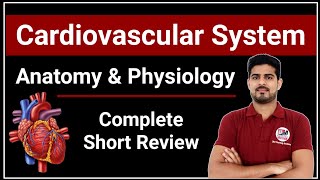 Cardiovascular System Anatomy amp Physiology Complete Short Review [upl. by Yanej]