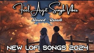 Feel Arijit Singh Vibes। slowed Reverb । lofi song।new lofi songs 2024।non stop lofi songs lofi [upl. by Relda]