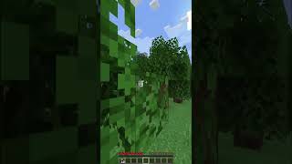 MINECRAFT BUT FLOWERS DROP SUPER OP ITEMSHighlights [upl. by Pelag]