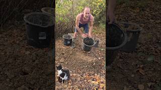 Subsoil will sag landscaping permaculture fitnessmotivation gardening adventure mud cat [upl. by Feola719]