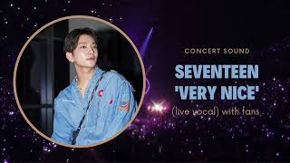 seventeen ‘very nice’ concert audio live vocal with fans [upl. by Shenan]